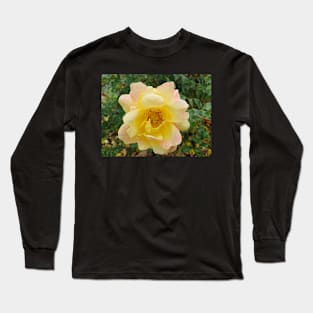 Pastel yellow and pink rose Long Sleeve T-Shirt